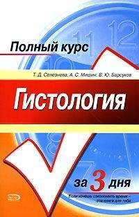 Читайте книги онлайн на Bookidrom.ru! Бесплатные книги в одном клике Т. Селезнева - Гистология. Полный курс за 3 дня