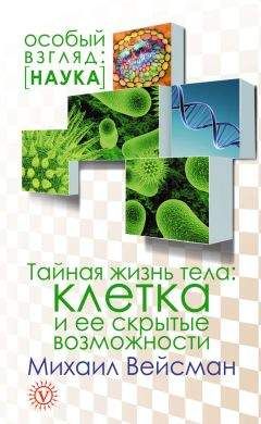 Читайте книги онлайн на Bookidrom.ru! Бесплатные книги в одном клике Михаил Вейсман - Тайная жизнь тела. Клетка и ее скрытые возможности