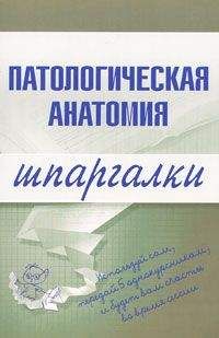 Читайте книги онлайн на Bookidrom.ru! Бесплатные книги в одном клике Марина Колесникова - Патологическая анатомия