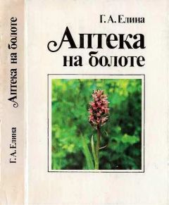 Читайте книги онлайн на Bookidrom.ru! Бесплатные книги в одном клике Галина Елина - Аптека на болоте