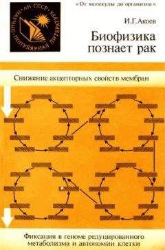 Читайте книги онлайн на Bookidrom.ru! Бесплатные книги в одном клике Инал Акоев - Биофизика познает рак