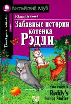 Читайте книги онлайн на Bookidrom.ru! Бесплатные книги в одном клике Юлия Пучкова - Забавные истории котенка Рэдди / Reddys Funny Stories