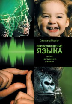 Читайте книги онлайн на Bookidrom.ru! Бесплатные книги в одном клике Светлана Бурлак - Происхождение языка: Факты, исследования, гипотезы