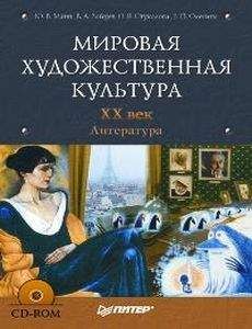 Читайте книги онлайн на Bookidrom.ru! Бесплатные книги в одном клике Юрий Манн - Мировая художественная культура. XX век. Литература