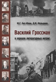 Читайте книги онлайн на Bookidrom.ru! Бесплатные книги в одном клике Юрий Бит-Юнан - Василий Гроссман в зеркале литературных интриг