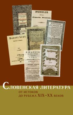 Читайте книги онлайн на Bookidrom.ru! Бесплатные книги в одном клике Коллектив авторов - Словенская литература. От истоков до рубежа XIX–XX веков