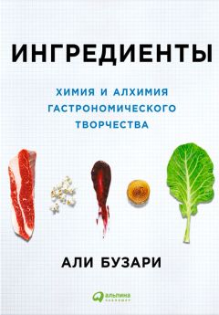 Читайте книги онлайн на Bookidrom.ru! Бесплатные книги в одном клике Али Бузари - Ингредиенты: Химия и алхимия гастрономического творчества