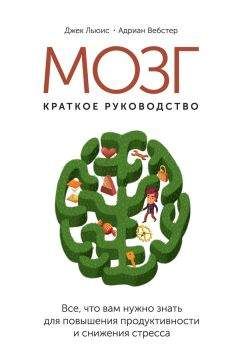 Читайте книги онлайн на Bookidrom.ru! Бесплатные книги в одном клике Джек Льюис - Мозг: краткое руководство. Все, что вам нужно знать для повышения эффективности и снижения стресса