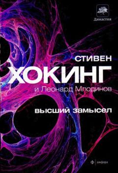 Читайте книги онлайн на Bookidrom.ru! Бесплатные книги в одном клике Стивен Хокинг - Высший замысел