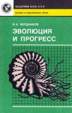 Читайте книги онлайн на Bookidrom.ru! Бесплатные книги в одном клике Владимир Бердников - Эволюция и прогресс