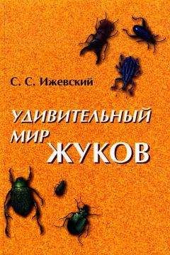 Читайте книги онлайн на Bookidrom.ru! Бесплатные книги в одном клике Сергей Ижевский - Удивительный мир жуков