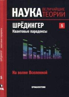 Читайте книги онлайн на Bookidrom.ru! Бесплатные книги в одном клике Довид Ласерна - На волне Вселенной. Шрёдингер. Квантовые парадоксы