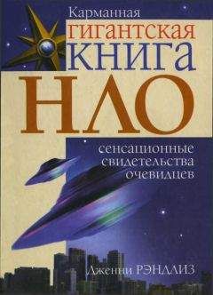 Читайте книги онлайн на Bookidrom.ru! Бесплатные книги в одном клике Дженни Рэндлиз - НЛО. Сенсационные свидетельства очевидцев