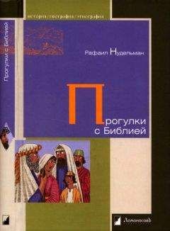 Читайте книги онлайн на Bookidrom.ru! Бесплатные книги в одном клике Рафаил Нудельман - Прогулки с Билией