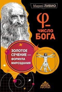 Читайте книги онлайн на Bookidrom.ru! Бесплатные книги в одном клике Марио Ливио - φ – Число Бога. Золотое сечение – формула мироздания