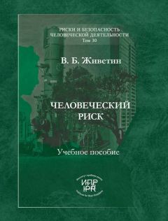 Читайте книги онлайн на Bookidrom.ru! Бесплатные книги в одном клике Владимир Живетин - Человеческий риск (системные основы управления)