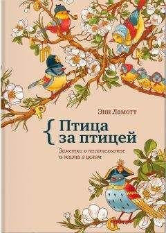 Читайте книги онлайн на Bookidrom.ru! Бесплатные книги в одном клике Энн Ламотт - Птица за птицей. Заметки о писательстве и жизни в целом
