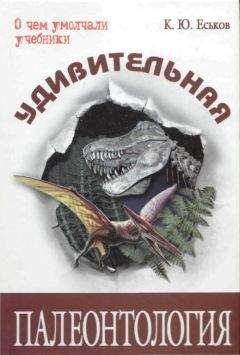 Читайте книги онлайн на Bookidrom.ru! Бесплатные книги в одном клике Кирилл Еськов - Удивительная палеонтология