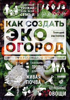Читайте книги онлайн на Bookidrom.ru! Бесплатные книги в одном клике Геннадий Распопов - Как создать эко огород. Советы врача и садовода с 40-летним стажем!
