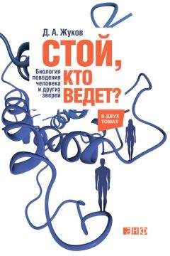 Дмитрий Жуков - Стой, кто ведет? Биология поведения человека и других зверей