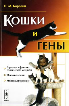 Читайте книги онлайн на Bookidrom.ru! Бесплатные книги в одном клике Павел Бородин - Кошки и гены