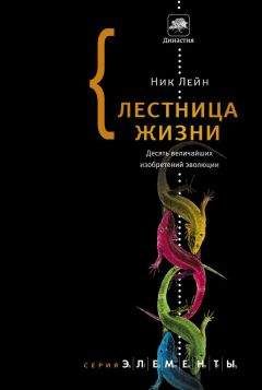 Читайте книги онлайн на Bookidrom.ru! Бесплатные книги в одном клике Ник Лейн - Лестница жизни