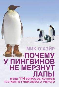 Читайте книги онлайн на Bookidrom.ru! Бесплатные книги в одном клике Мик О'Хэйр - Почему у пингвинов не мерзнут лапы? И еще 114 вопросов, которые поставят в тупик любого ученого