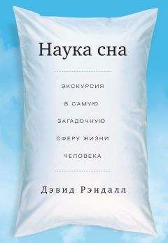 Читайте книги онлайн на Bookidrom.ru! Бесплатные книги в одном клике Дэвид Рэндалл - Наука сна. Экскурсия в самую загадочную сферу жизни человека