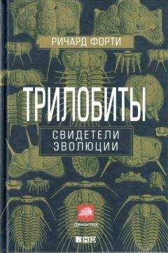 Читайте книги онлайн на Bookidrom.ru! Бесплатные книги в одном клике Ричард Форти - Трилобиты: Свидетели эволюции