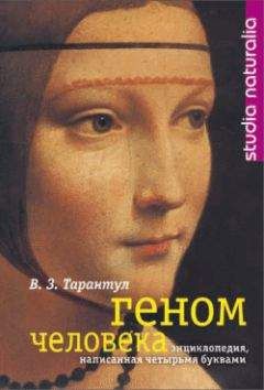 Читайте книги онлайн на Bookidrom.ru! Бесплатные книги в одном клике Вячеслав Тарантул - Геном человека: Энциклопедия, написанная четырьмя буквами
