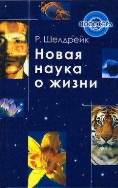 Читайте книги онлайн на Bookidrom.ru! Бесплатные книги в одном клике Руперт Шелдрейк - Новая наука о жизни