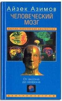 Айзек Азимов - Человеческий мозг. От аксона до нейрона.