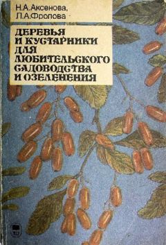 Читайте книги онлайн на Bookidrom.ru! Бесплатные книги в одном клике Нина Аксёнова - Деревья и кустарники для любительского садоводства и озеленения