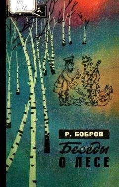 Читайте книги онлайн на Bookidrom.ru! Бесплатные книги в одном клике Рэм Бобров - Беседы о лесе