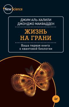 Читайте книги онлайн на Bookidrom.ru! Бесплатные книги в одном клике Джонджо МакФадден - Жизнь на грани