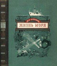 Читайте книги онлайн на Bookidrom.ru! Бесплатные книги в одном клике Венианим Богоров - Жизнь моря