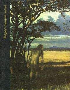 Читайте книги онлайн на Bookidrom.ru! Бесплатные книги в одном клике Мейтленд Иди - Недостающее звено