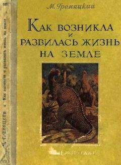 Читайте книги онлайн на Bookidrom.ru! Бесплатные книги в одном клике Михаил Гремяцкий - Как возникла и развилась жизнь на Земле