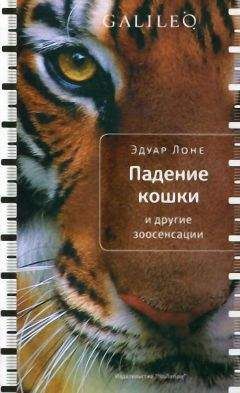 Читайте книги онлайн на Bookidrom.ru! Бесплатные книги в одном клике Эдуар Лоне - Падение кошки и другие зоосенсации