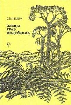 Читайте книги онлайн на Bookidrom.ru! Бесплатные книги в одном клике Сергей Мейен - Следы трав индейских