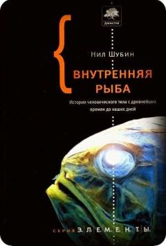 Читайте книги онлайн на Bookidrom.ru! Бесплатные книги в одном клике Нил Шубин - Внутренняя рыба