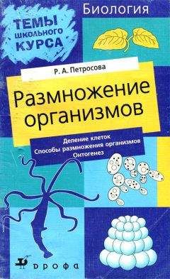 Читайте книги онлайн на Bookidrom.ru! Бесплатные книги в одном клике Рената Петросова - Размножение организмов