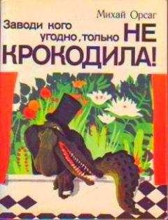 Читайте книги онлайн на Bookidrom.ru! Бесплатные книги в одном клике Михай Орсаг - Заводи кого угодно, только НЕ КРОКОДИЛА!