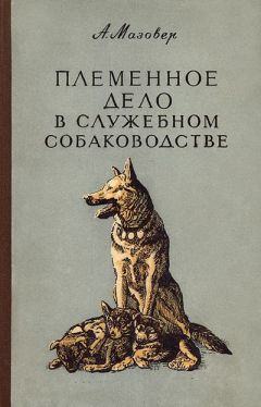 Читайте книги онлайн на Bookidrom.ru! Бесплатные книги в одном клике Александр Мазовер - Племенное дело в служебном собаководстве