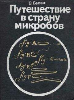 Читайте книги онлайн на Bookidrom.ru! Бесплатные книги в одном клике Владимир Бетина - Путешествие в страну микробов