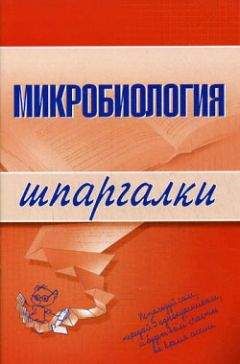 Читайте книги онлайн на Bookidrom.ru! Бесплатные книги в одном клике Ксения Ткаченко - Микробиология