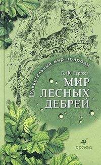 Читайте книги онлайн на Bookidrom.ru! Бесплатные книги в одном клике Борис Сергеев - Мир лесных дебрей