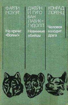 Читайте книги онлайн на Bookidrom.ru! Бесплатные книги в одном клике Джейн Лавик-Гудолл - Невинные убийцы