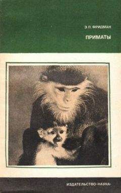 Читайте книги онлайн на Bookidrom.ru! Бесплатные книги в одном клике Эман Фридман - Приматы