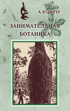 Читайте книги онлайн на Bookidrom.ru! Бесплатные книги в одном клике Александр Цингер - Занимательная ботаника